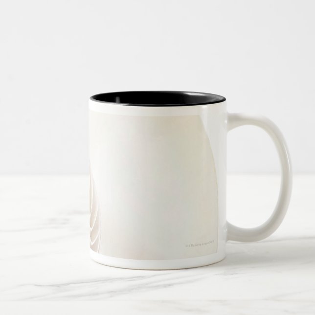 Nautilus shell, close-up Two-Tone coffee mug (Right)