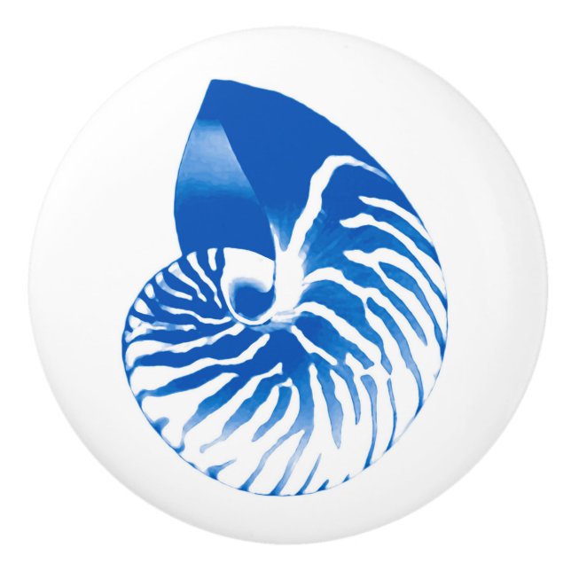 Nautilus shell - cobalt blue and white ceramic knob (Front)