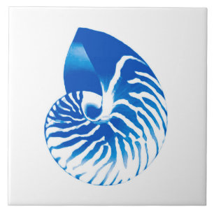 Nautilus shell - cobalt blue and white tile