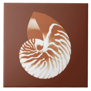 Nautilus shell - cocoa brown and white ceramic tile