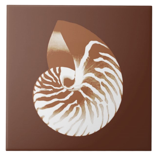 Nautilus shell - cocoa brown and white ceramic tile (Front)