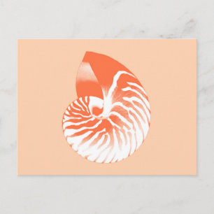 Nautilus shell - coral orange and white postcard