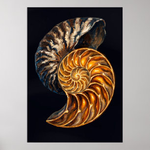 Nautilus Shell Cross-Section — Golden Spiral Poster