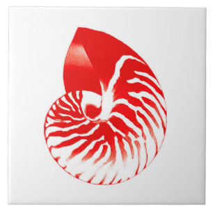 Nautilus shell - dark red and white ceramic tile