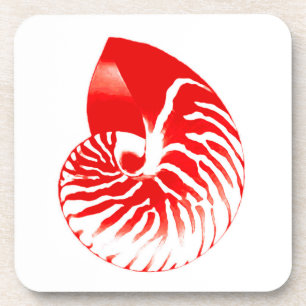 Nautilus shell - dark red and white coaster
