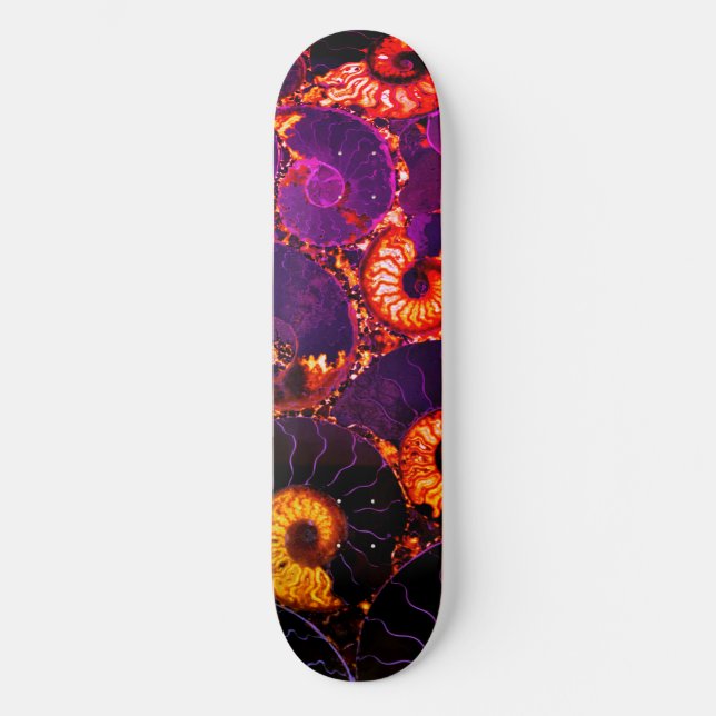 Nautilus shell design skateboard (Front)