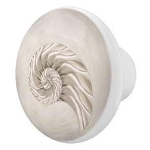 Nautilus Shell Drawing Ceramic Knob