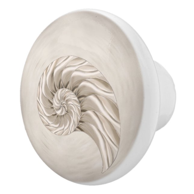 Nautilus Shell Drawing Ceramic Knob (Right)