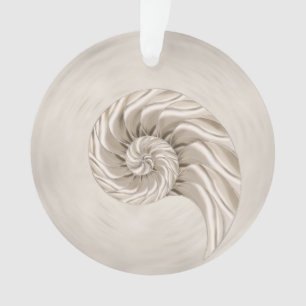 Nautilus Shell Drawing Ornament