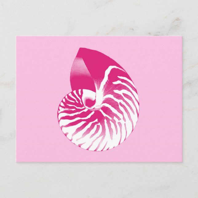 Nautilus shell - fuchsia pink and white postcard (Front)