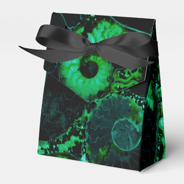 Nautilus shell - green design favour box (Front Side)