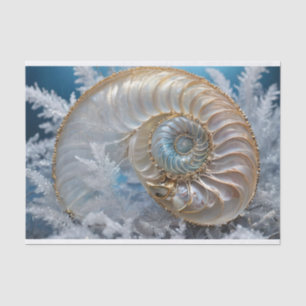 Nautilus Shell Inside Decoupage Tissue Paper