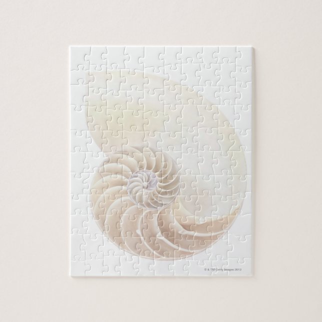Nautilus Shell Jigsaw Puzzle (Vertical)