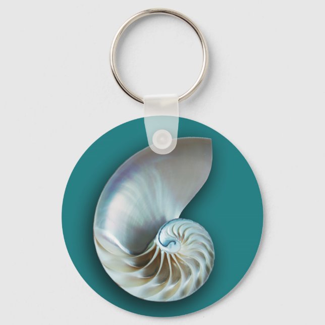 Nautilus Shell Key Chain (Front)