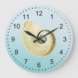 Nautilus shell large clock