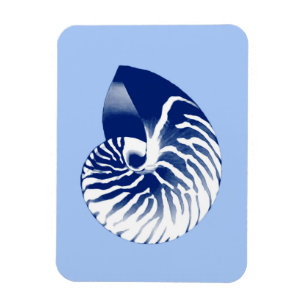 Nautilus shell - navy, white & light blue magnet