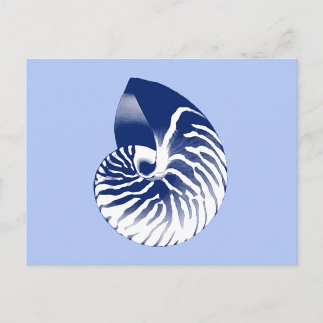 Nautilus shell - navy, white & light blue postcard (Front)