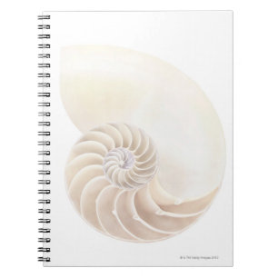 Nautilus Shell Notebook