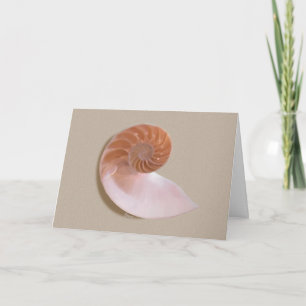 Nautilus Shell on Sand Greeting Card