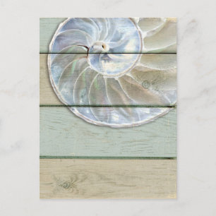 Nautilus Shell Postcard