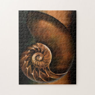 Nautilus Shell Puzzle
