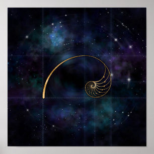 Nautilus Shell - Sacred Geometry Poster