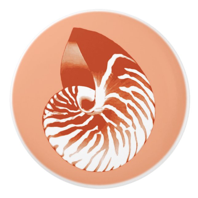 Nautilus shell - terracotta and white ceramic knob (Front)