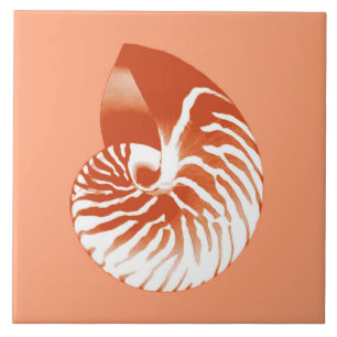 Nautilus shell - terracotta and white ceramic tile