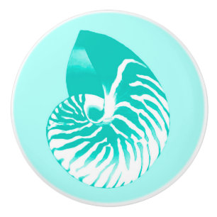Nautilus shell - turquoise, aqua and white ceramic knob