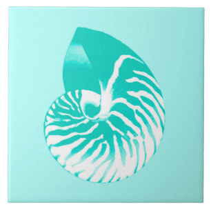 Nautilus shell - turquoise, aqua and white ceramic tile