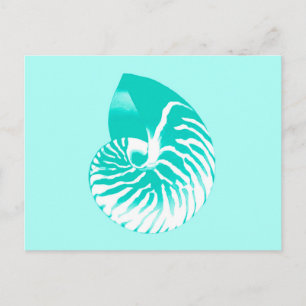 Nautilus shell - turquoise, aqua and white postcard