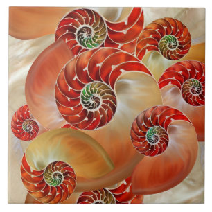 Nautilus Shells Ceramic Tile