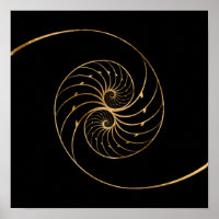 Nautilus Shells - Golden Pair