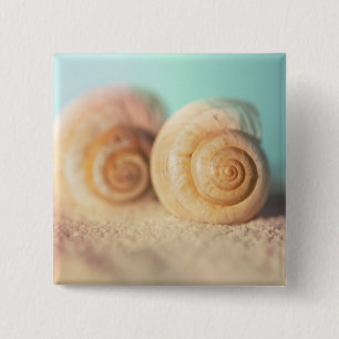 Nautilus Shells On Beach 15 Cm Square Badge