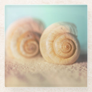 Nautilus Shells On Beach Glass Coaster