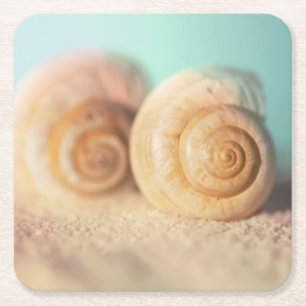 Nautilus Shells On Beach Square Paper Coaster