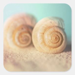 Nautilus Shells On Beach Square Sticker