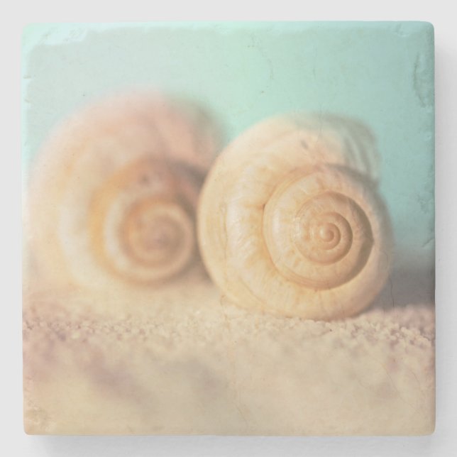 Nautilus Shells On Beach Stone Coaster (Front)