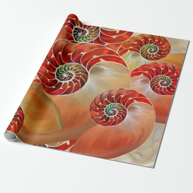 Nautilus Shells Wrapping Paper (Unrolled)