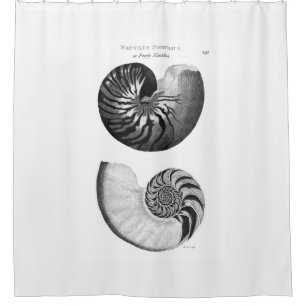 Nautilus Shower Curtain