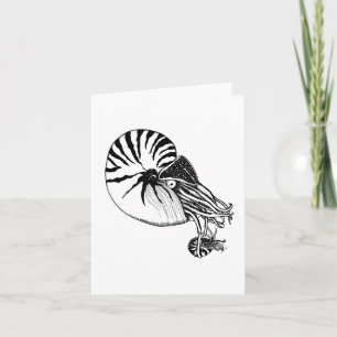 Nautilus Swing Card