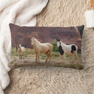 Navajo Horses Run Free on the Canyon Floor Lumbar Cushion