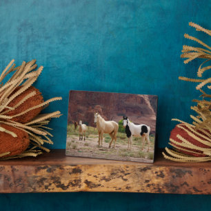 Navajo Horses Run Free on the Canyon Floor Plaque