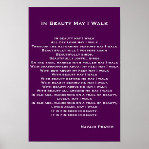 Navajo Prayer Poster