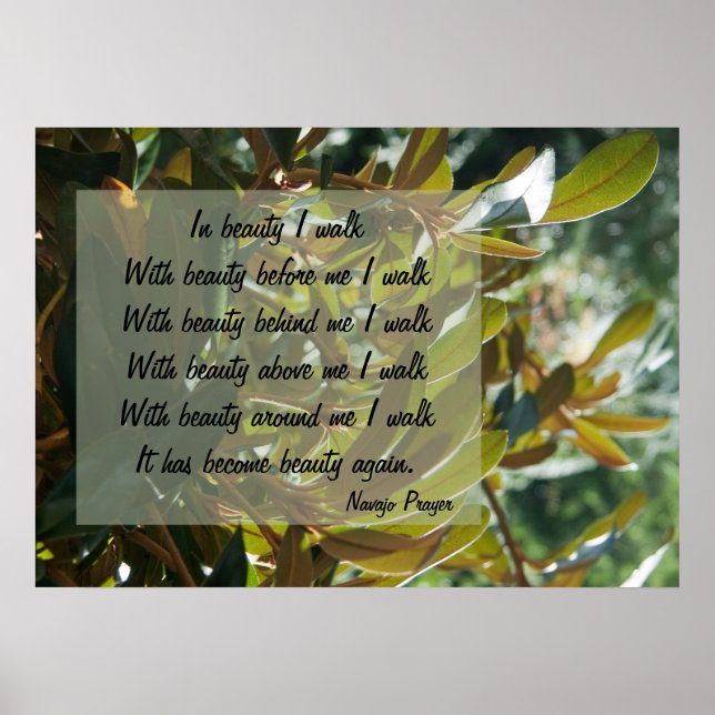 Navajo Prayer Walk in Beauty Poster (Front)