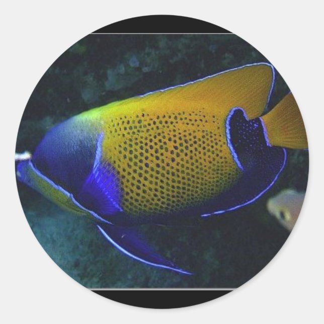 Navarchus Classic Round Sticker (Front)