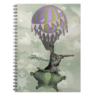 Navigating Rabbit Notebook