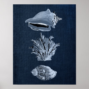 Navy Beach Decor Seashell Print no. 10