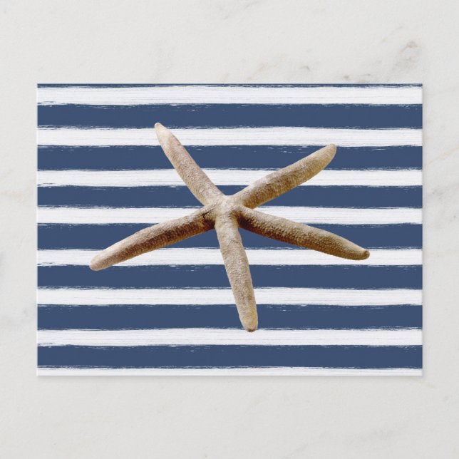 Navy Blue and White Stripes Starfish Postcard (Front)