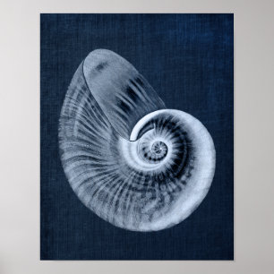 Navy Blue Beach Decor Seashell Art Print no. 11
